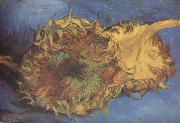 Vincent Van Gogh, Two Cut Sunflowers (nn04)